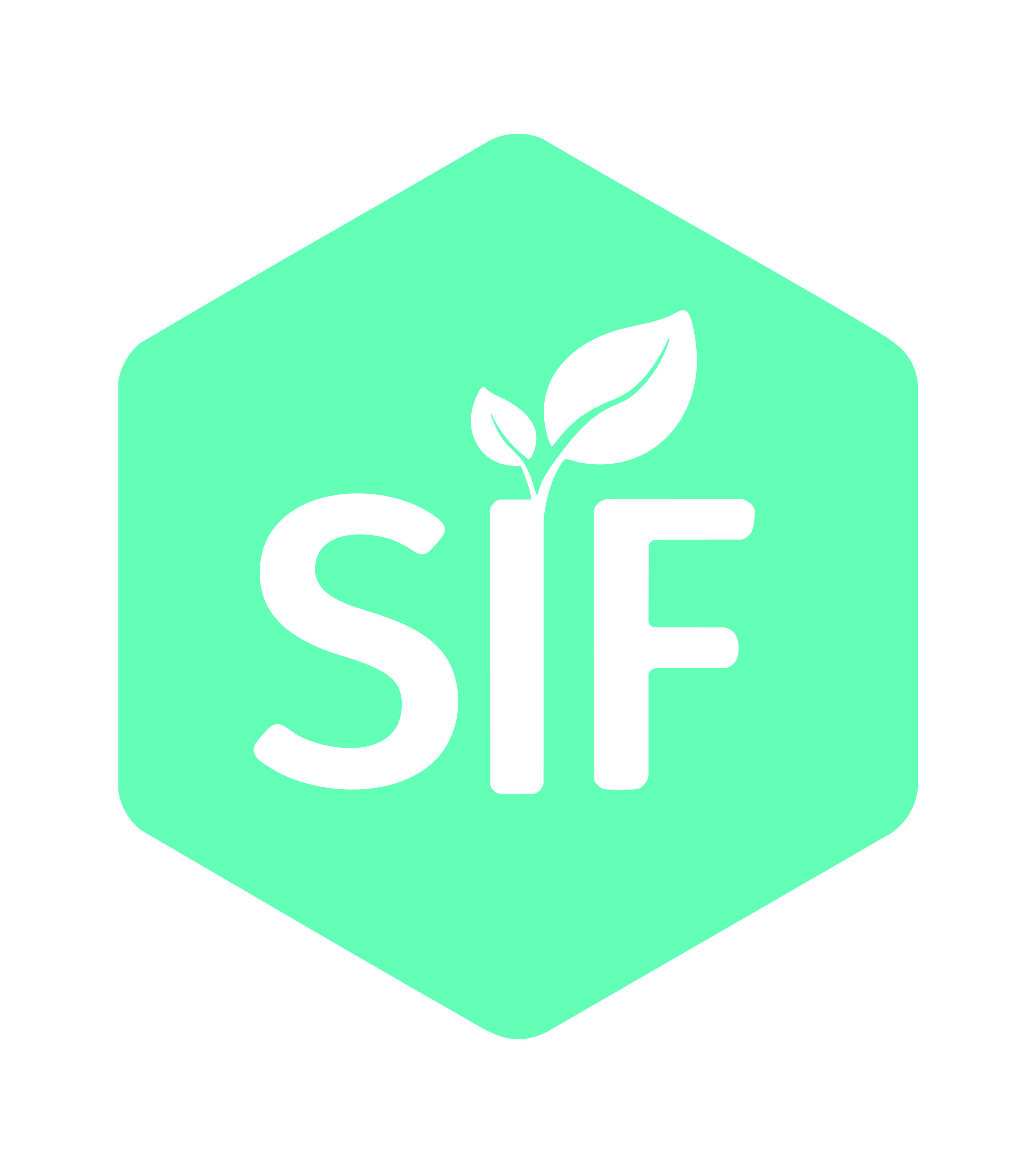 Social Investment Fund